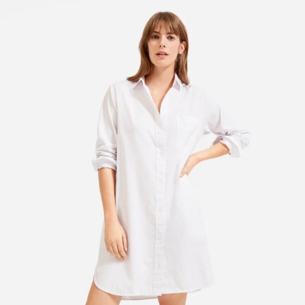 Everlane Cotton Shirtdress